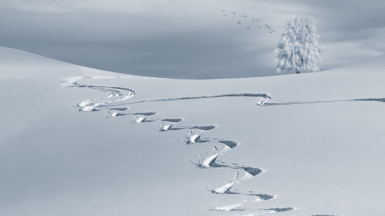Anmeldelse af Trace Snow Ski Snowboard Track